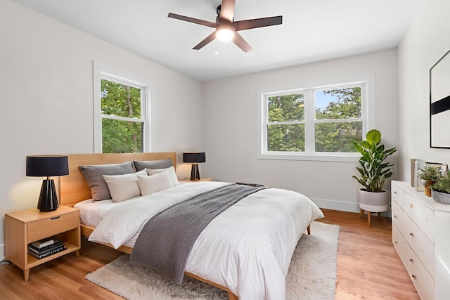 6427 Harlem Rd, Loves Park, IL 61111 - bedroom featuring multiple windows, light wood-type flooring, and a ceiling fan