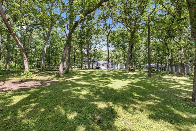 6427 Harlem Rd, Loves Park, IL 61111 - view of grassy yard