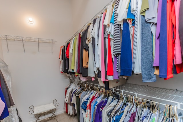 1020 S Wabash Ave Unit 7C, Chicago, IL 60605 - spacious closet featuring carpet