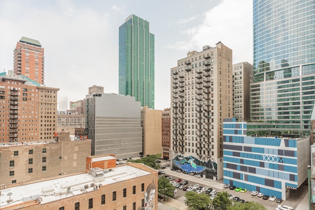 1020 S Wabash Ave Unit 7C, Chicago, IL 60605 - view of city
