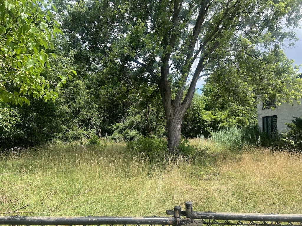 13631 S Springfield Ave, Robbins, IL 60472 - view of yard