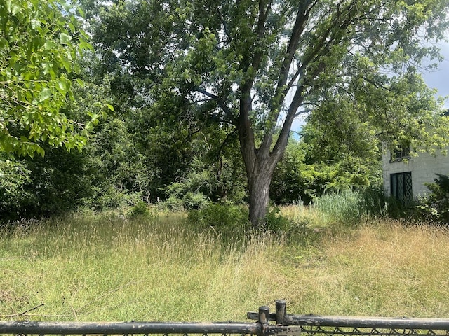 13631 S Springfield Ave, Robbins, IL 60472 - view of yard