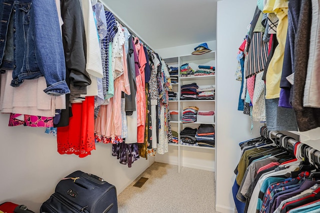 711 W Nichols Rd, Arlington Heights, IL 60004 - spacious closet featuring carpet floors