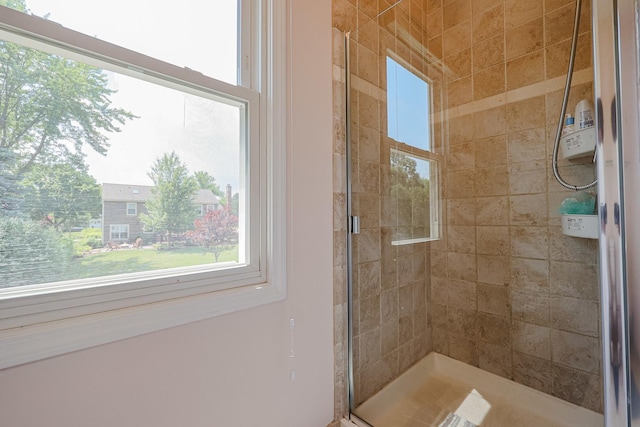 711 W Nichols Rd, Arlington Heights, IL 60004 - full bath featuring a shower stall and healthy amount of natural light
