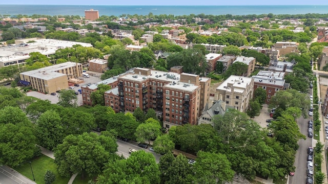4537 S Drexel Blvd Unit 504, Chicago, IL 60653 - drone / aerial view of a nearby body of water