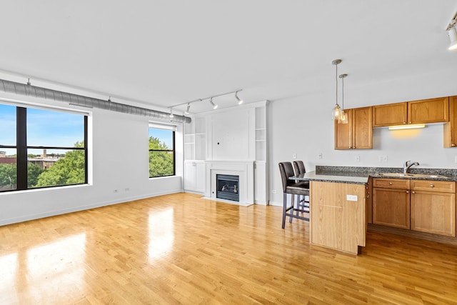 4537 S Drexel Blvd Unit 504, Chicago, IL 60653 - kitchen featuring open floor plan, a breakfast bar area, rail lighting, light wood-style flooring, and a fireplace with flush hearth