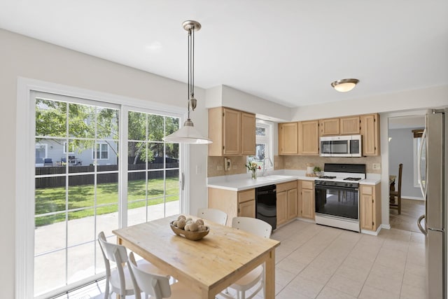 1439 Blue Heron Dr, Crystal Lake, IL 60014 - kitchen with appliances with stainless steel finishes, light countertops, light brown cabinets, and plenty of natural light