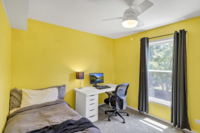 1439 Blue Heron Dr, Crystal Lake, IL 60014 - bedroom featuring carpet and a ceiling fan