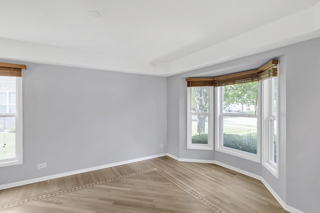 1439 Blue Heron Dr, Crystal Lake, IL 60014 - spare room featuring wood finished floors and healthy amount of natural light