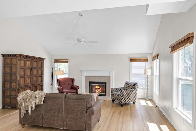 1439 Blue Heron Dr, Crystal Lake, IL 60014 - living room with lofted ceiling, light wood-style flooring, a fireplace, and ceiling fan