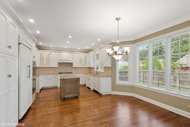 807 Phillippa St, Hinsdale, IL 60521 - photo 4