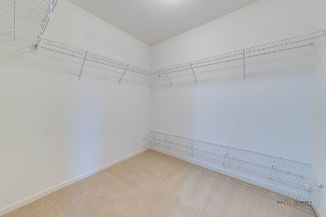 621 Blazing Star Dr, Lake Villa, IL 60046 - spacious closet with carpet flooring