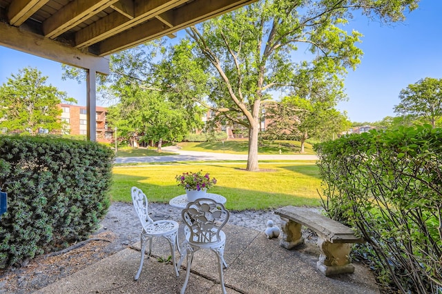 455 Raintree Ct Unit 1C, Glen Ellyn, IL 60137 - view of patio