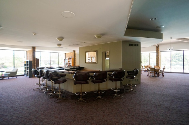 455 Raintree Ct Unit 1C, Glen Ellyn, IL 60137 - interior space featuring carpet floors