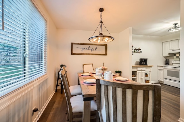 455 Raintree Ct Unit 1C, Glen Ellyn, IL 60137 - dining area with dark wood-style flooring and baseboards