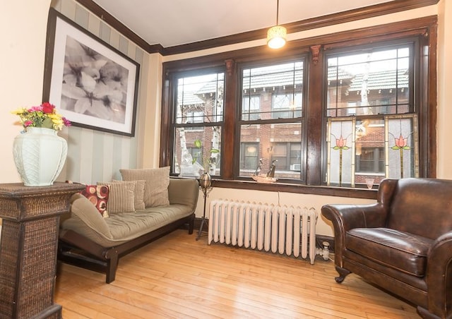 508 Madison St Unit 2S, Oak Park, IL 60302 - living area featuring radiator heating unit, crown molding, healthy amount of natural light, and light wood-style flooring