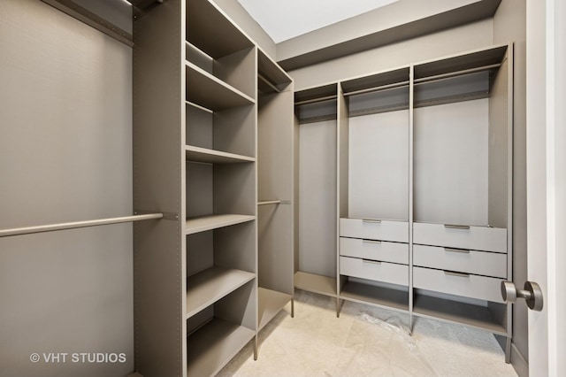 220 S Oakley Blvd, Chicago, IL 60612 - spacious closet with carpet flooring