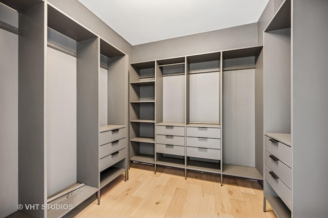 222 S Oakley Blvd Unit 3, Chicago, IL 60612 - walk in closet with light wood-style floors