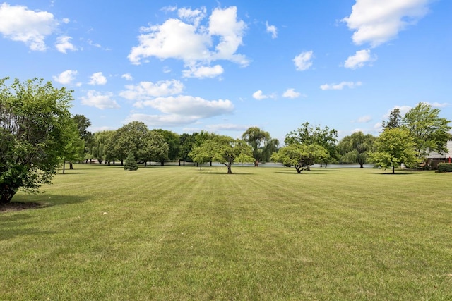 735 Wellington Ave, Elk Grove Village, IL 60007 - surrounding community featuring a lawn