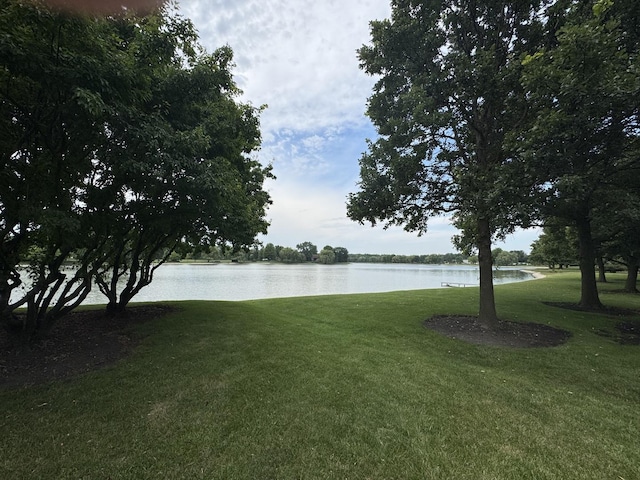 735 Wellington Ave, Elk Grove Village, IL 60007 - water view