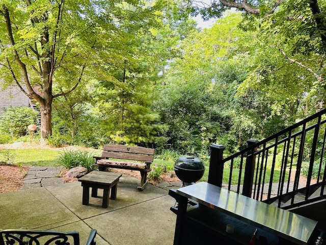1448 Chestnut Xing, Lemont, IL 60439 - view of patio with stairs
