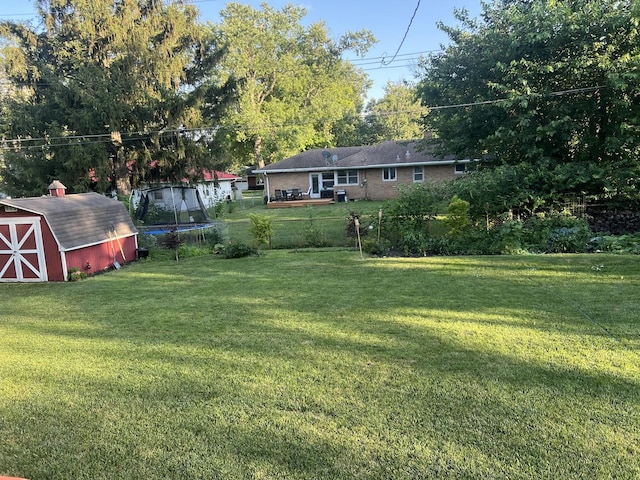 5 Knollcrest Ct, Normal, IL 61761 - view of green lawn with a trampoline and a shed