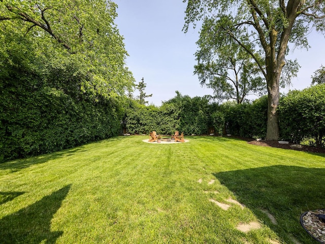 1337 Degener Ave, Elmhurst, IL 60126 - photo 28