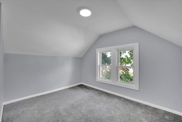305 S Lewis Ave, Waukegan, IL 60085 - bonus room featuring lofted ceiling and carpet flooring