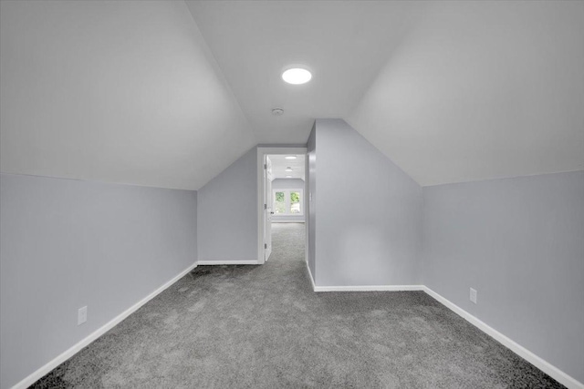 305 S Lewis Ave, Waukegan, IL 60085 - additional living space with carpet floors and vaulted ceiling