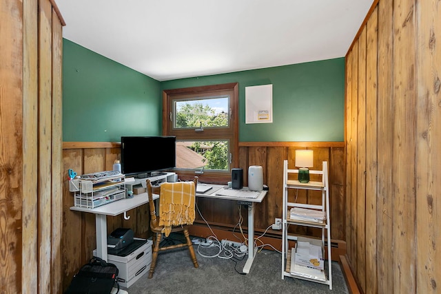 49 Burton Ave, Cary, IL 60013 - carpeted office space featuring wainscoting and wooden walls