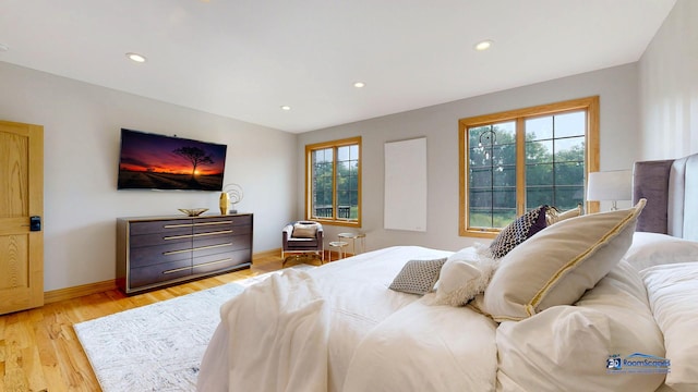 19113 Lauren Ln, Marengo, IL 60152 - bedroom featuring light wood-style flooring and recessed lighting