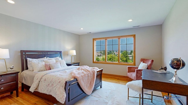 19113 Lauren Ln, Marengo, IL 60152 - bedroom featuring wood finished floors and recessed lighting