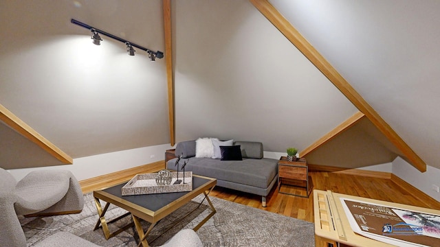 19113 Lauren Ln, Marengo, IL 60152 - living room featuring rail lighting, wood finished floors, and lofted ceiling