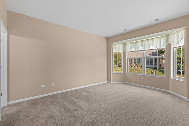 14300 Sundance Dr, Huntley, IL 60142 - unfurnished room featuring healthy amount of natural light and light carpet