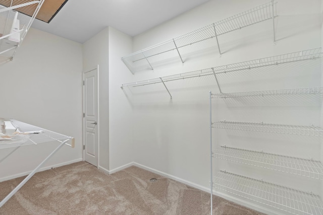 14300 Sundance Dr, Huntley, IL 60142 - spacious closet featuring carpet floors