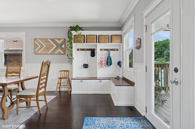 5106 W Eddy St, Chicago, IL 60641 - mudroom featuring dark wood finished floors, ornamental molding, a decorative wall, and a wainscoted wall