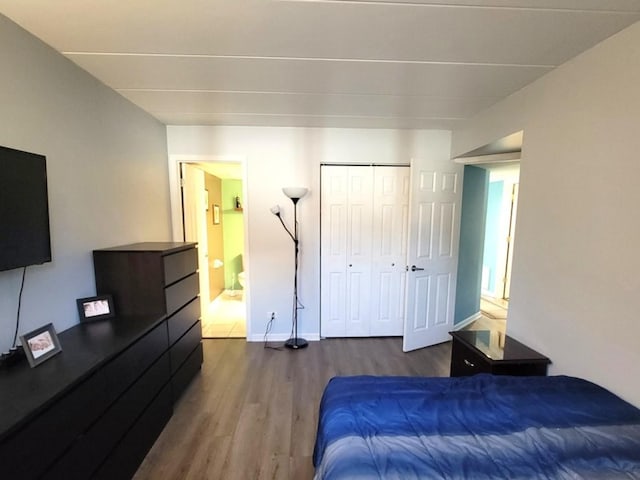 11009 Stony Creek Dr Unit 1C, Palos Hills, IL 60465 - bedroom featuring wood finished floors, a closet, and ensuite bath