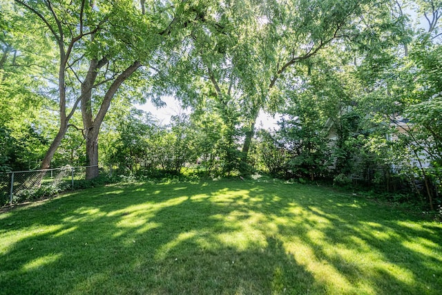 125 N Hager Ave, Barrington, IL 60010 - photo 38