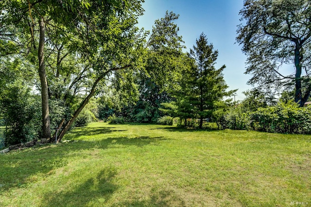15429 Lamon Ave, Oak Forest, IL 60452 - view of grassy yard