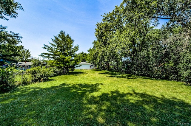 15429 Lamon Ave, Oak Forest, IL 60452 - view of yard