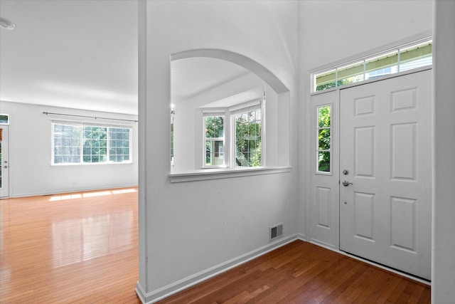 270 Birch Ln, Saint Charles, IL 60175 - entryway featuring wood-type flooring, plenty of natural light, and arched walkways