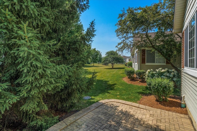 270 Birch Ln, Saint Charles, IL 60175 - view of grassy yard with a patio