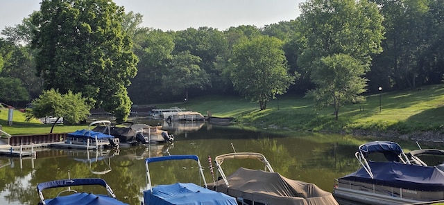 32 Montego Colony Unit 7, Fox Lake, IL 60020 - dock area featuring a water view and a view of trees