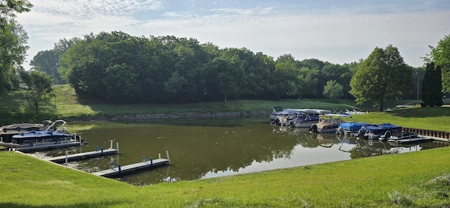 32 Montego Colony Unit 7, Fox Lake, IL 60020 - dock area featuring a water view and a lawn