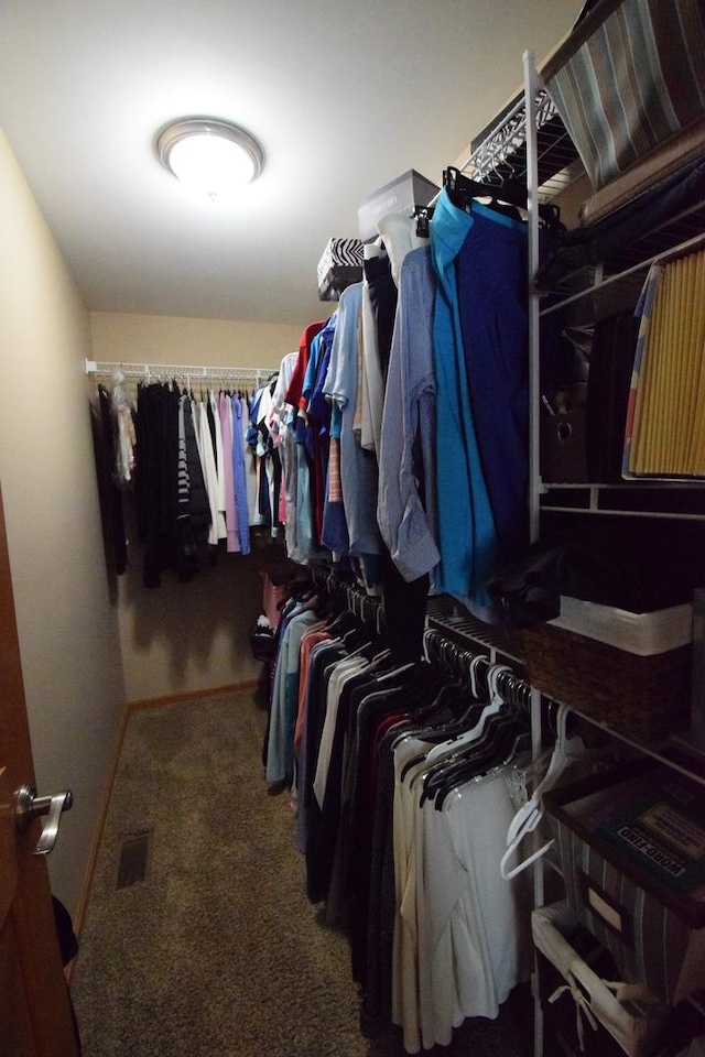 963 E Castlewood Ln, Bartlett, IL 60103 - walk in closet with carpet floors