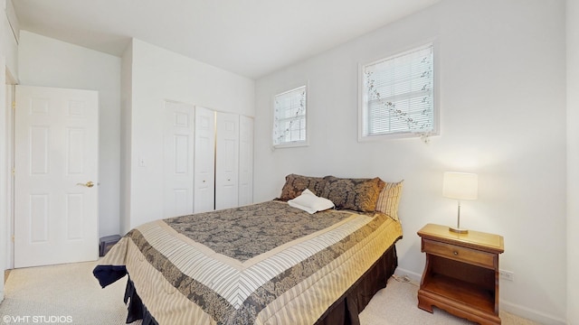 4606 S Woodlawn Ave, Chicago, IL 60653 - bedroom with carpet floors and a closet