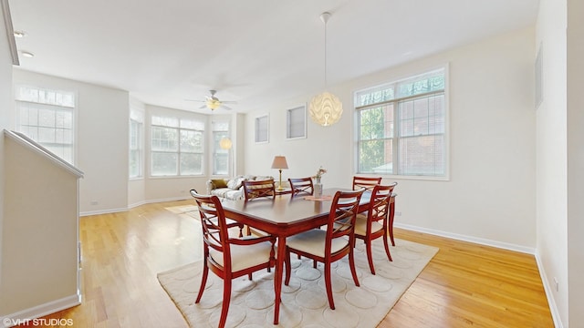 4606 S Woodlawn Ave, Chicago, IL 60653 - dining space featuring plenty of natural light, light wood-style flooring, and ceiling fan