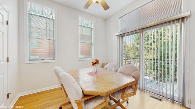 4606 S Woodlawn Ave, Chicago, IL 60653 - dining room with wood finished floors, plenty of natural light, and ceiling fan