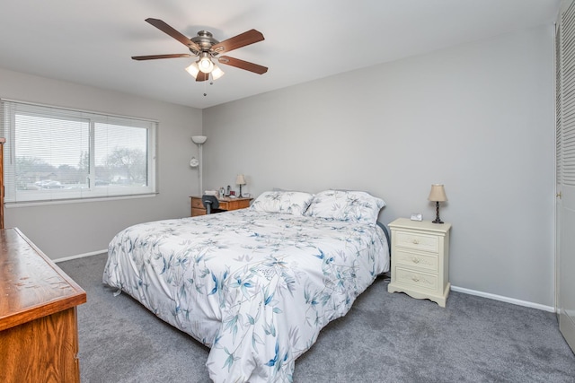 7315 Winthrop Way Unit 6, Downers Grove, IL 60516 - carpeted bedroom featuring a closet and a ceiling fan