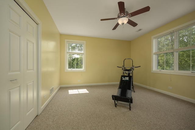 660 Birch Hollow Dr, Antioch, IL 60002 - workout area featuring carpet floors and ceiling fan